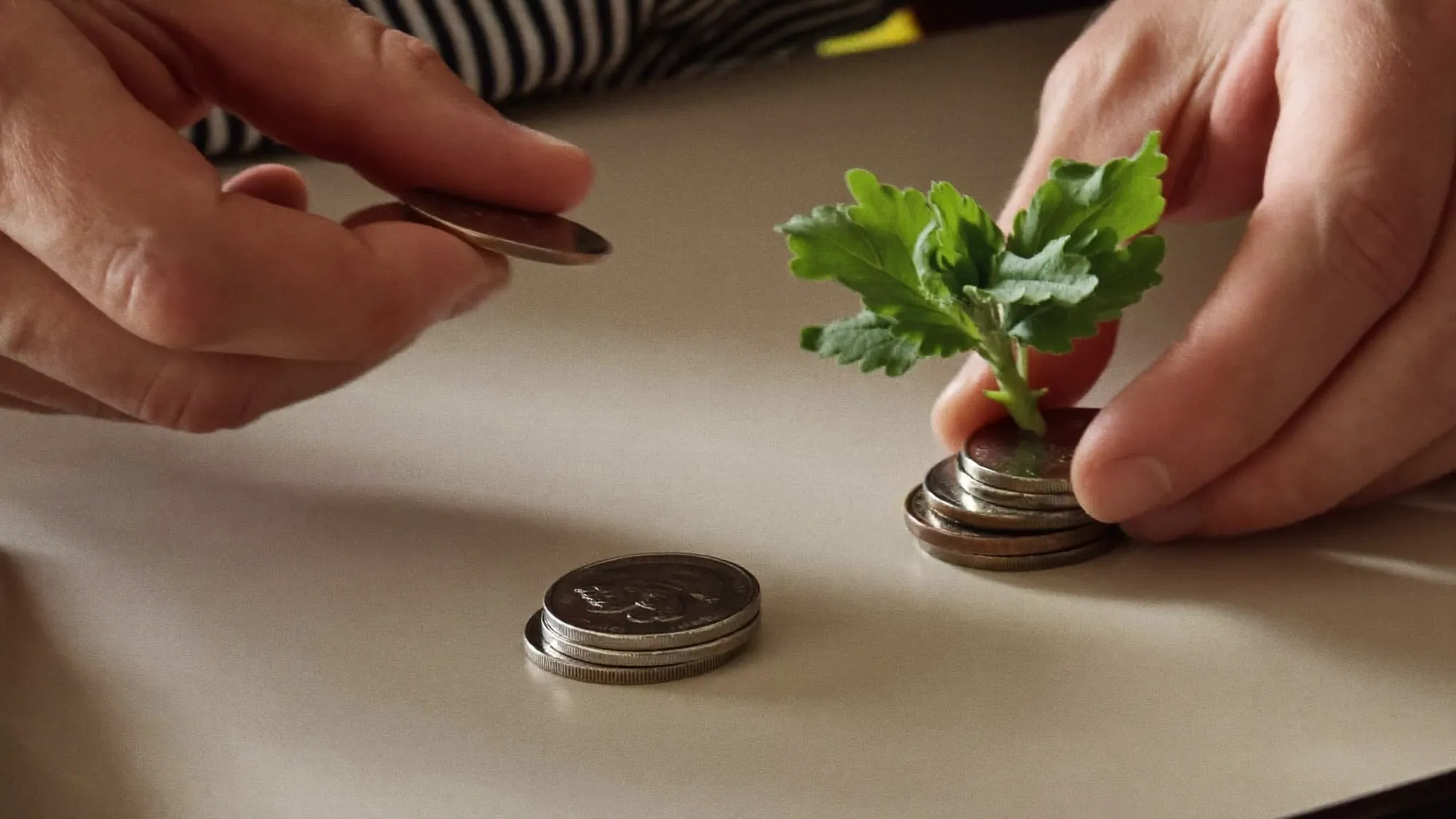 Coins with a growing green sprout, a metaphor for lowering cost per acquisition